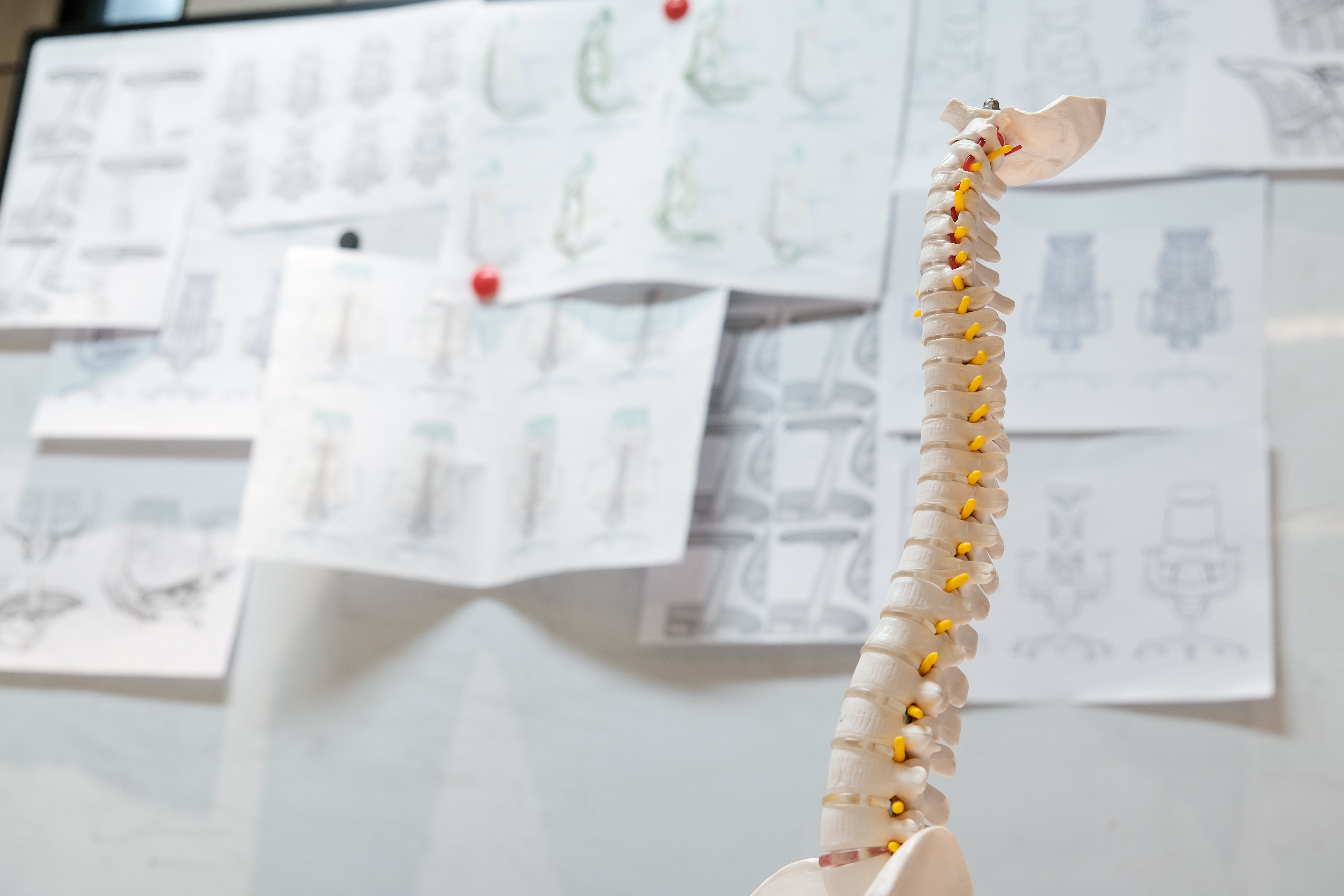 LiberNovo Omni: What Is a Dynamic Ergonomic Chair and Why You Need One.