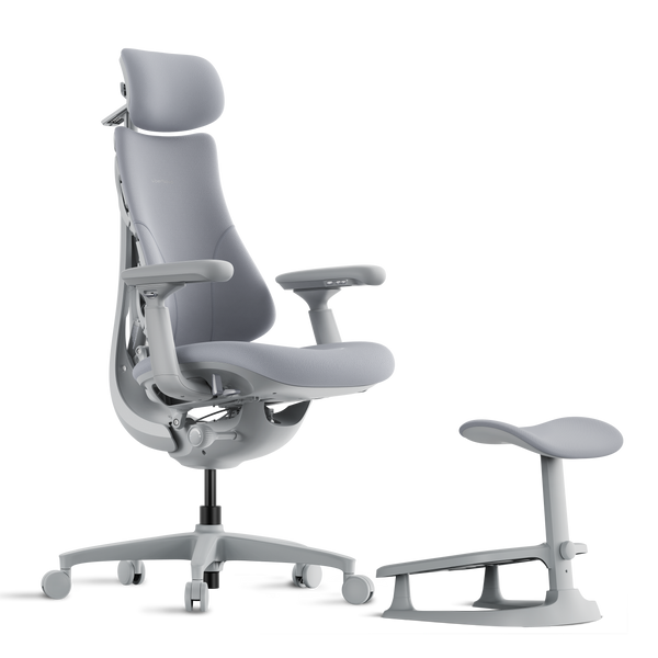 LiberNovo Omni Dynamischer ergonomischer Stuhl
