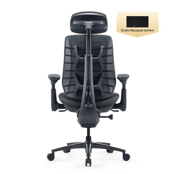 LiberNovo Maxis Dynamischer Ergonomischer Stuhl
