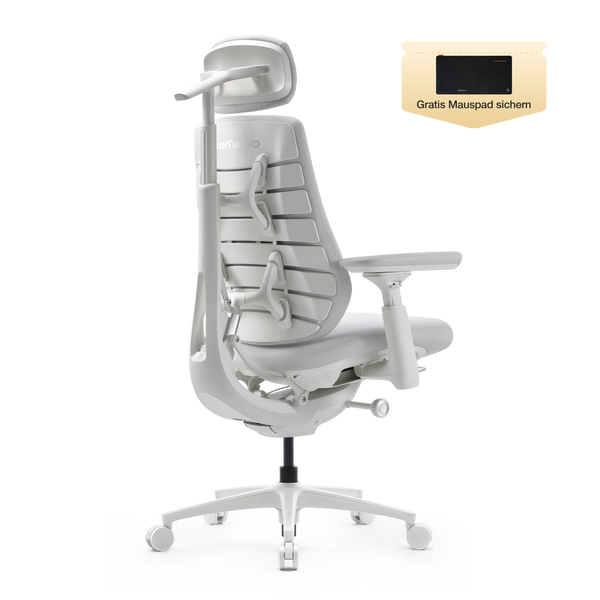 LiberNovo Maxis Dynamischer Ergonomischer Stuhl
