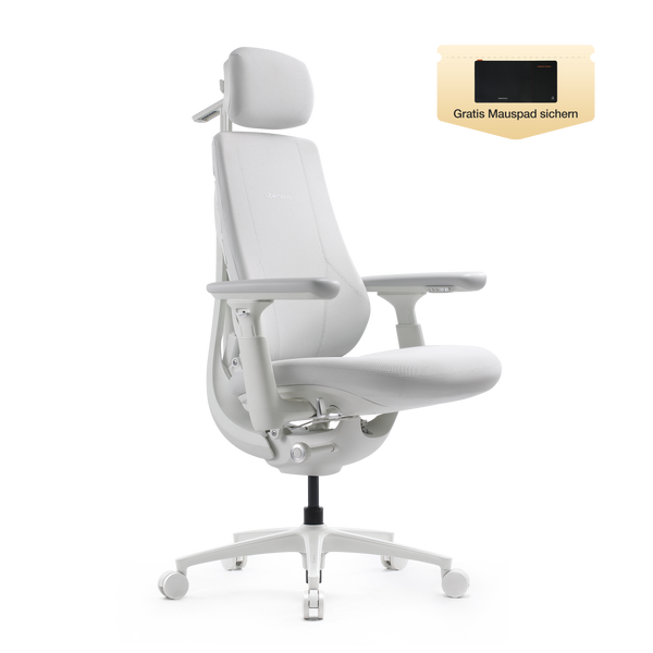 LiberNovo Maxis Dynamischer Ergonomischer Stuhl
