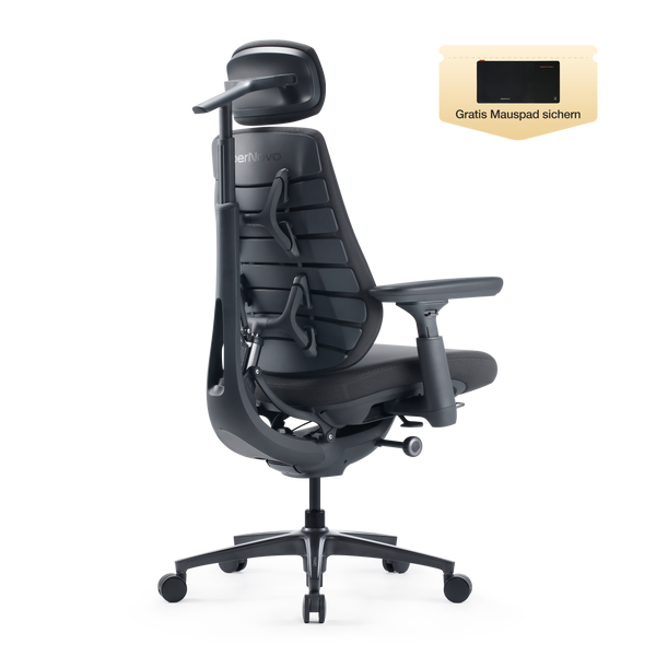 LiberNovo Maxis Dynamischer Ergonomischer Stuhl
