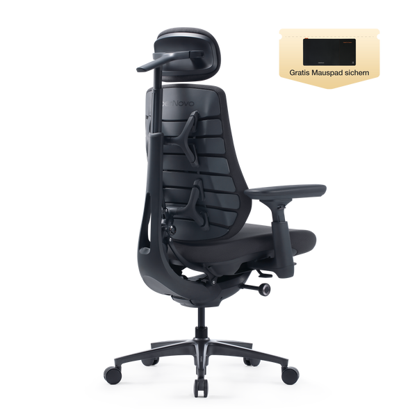 LiberNovo Maxis Dynamischer Ergonomischer Stuhl
