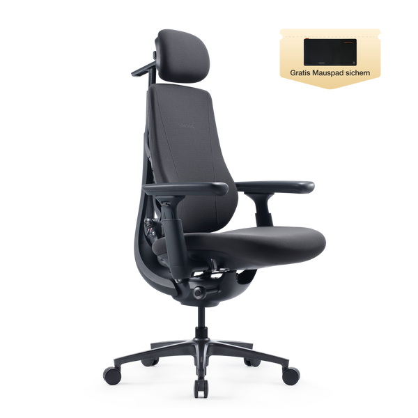 LiberNovo Maxis Dynamischer Ergonomischer Stuhl
