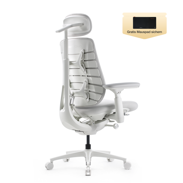 LiberNovo Maxis Dynamischer Ergonomischer Stuhl
