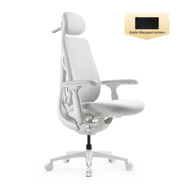 LiberNovo Maxis Dynamischer Ergonomischer Stuhl
