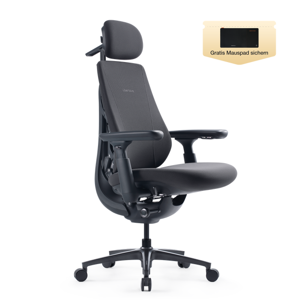 LiberNovo Maxis Dynamischer Ergonomischer Stuhl

