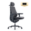 LiberNovo Maxis Dynamischer Ergonomischer Stuhl

