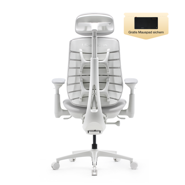 LiberNovo Maxis Dynamischer Ergonomischer Stuhl
