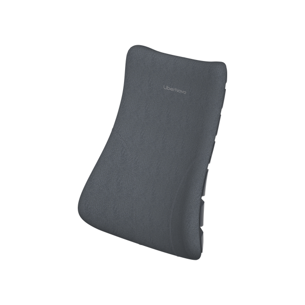 Rückenlehne (gesamt)