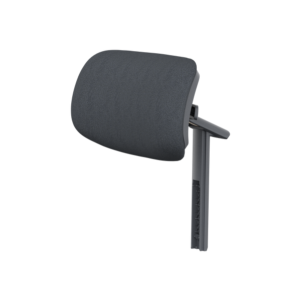 Kopfstütze (gesamt)
