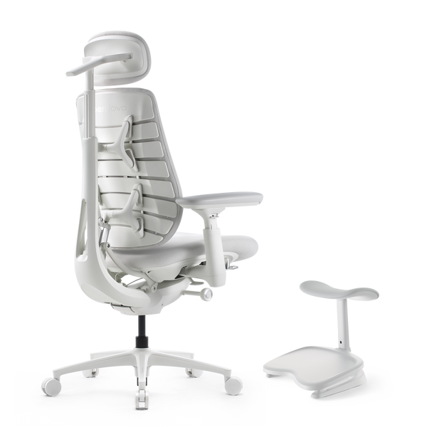 LiberNovo Maxis Dynamischer Ergonomischer Stuhl
