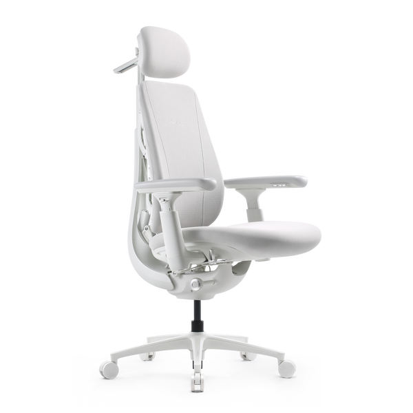 LiberNovo Maxis Dynamischer Ergonomischer Stuhl
