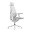 LiberNovo Maxis Dynamischer Ergonomischer Stuhl
