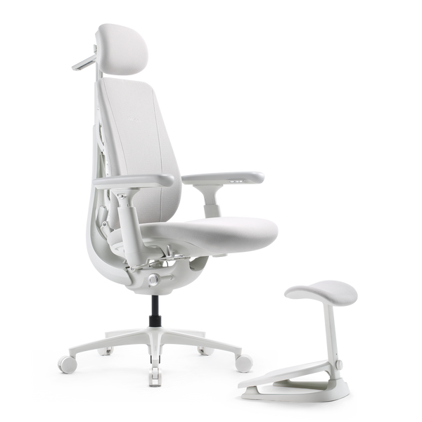 LiberNovo Maxis Dynamischer Ergonomischer Stuhl
