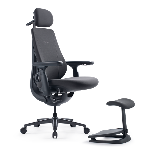 LiberNovo Maxis Dynamischer Ergonomischer Stuhl
