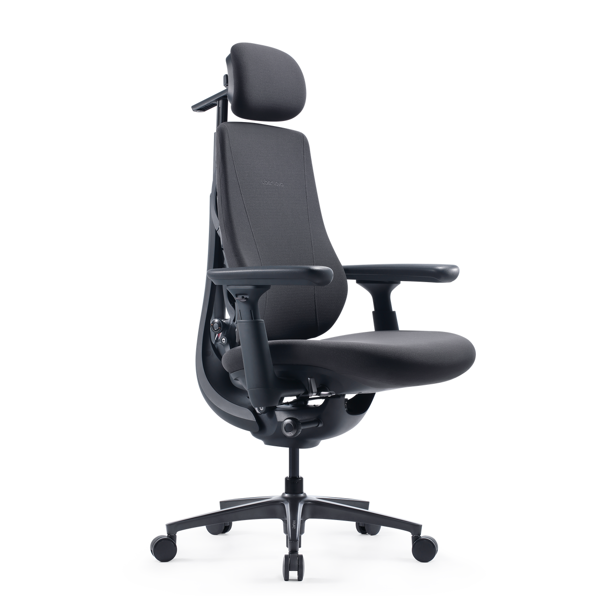 LiberNovo Maxis Dynamischer Ergonomischer Stuhl
