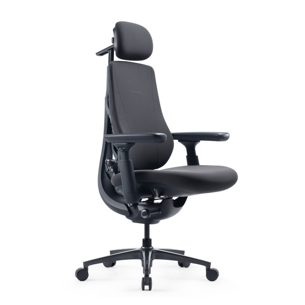 LiberNovo Maxis Dynamischer Ergonomischer Stuhl
