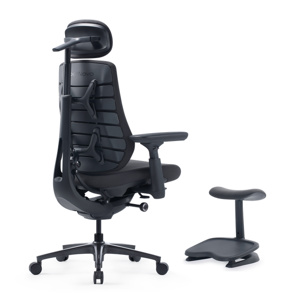 LiberNovo Maxis Dynamischer Ergonomischer Stuhl

