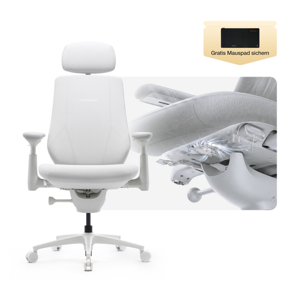 LiberNovo Maxis Dynamischer Ergonomischer Stuhl
