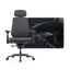 LiberNovo Maxis Dynamischer Ergonomischer Stuhl
