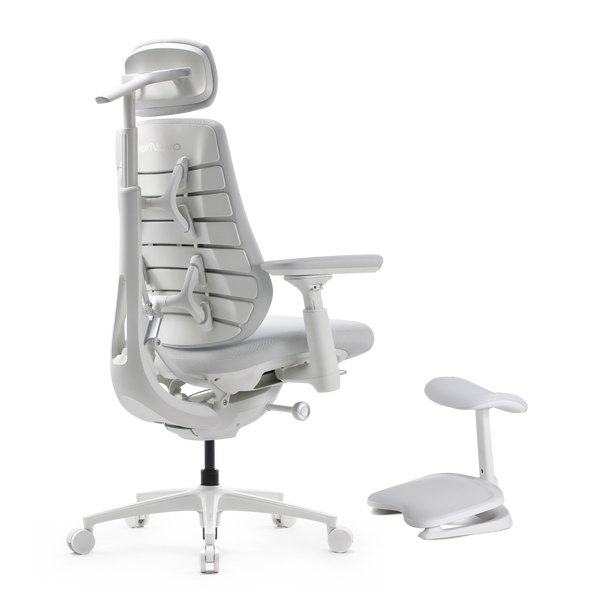 LiberNovo Maxis Dynamischer Ergonomischer Stuhl
