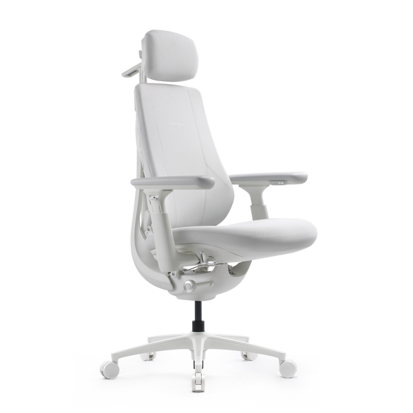 LiberNovo Maxis Dynamischer Ergonomischer Stuhl
