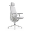 LiberNovo Maxis Dynamischer Ergonomischer Stuhl
