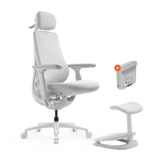 LiberNovo Maxis Dynamischer Ergonomischer Stuhl

