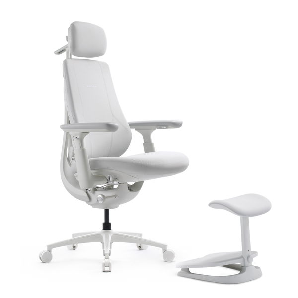 LiberNovo Maxis Dynamischer Ergonomischer Stuhl
