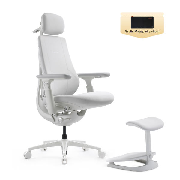 LiberNovo Maxis Dynamischer Ergonomischer Stuhl

