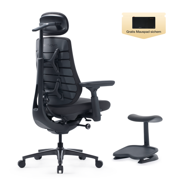 LiberNovo Maxis Dynamischer Ergonomischer Stuhl
