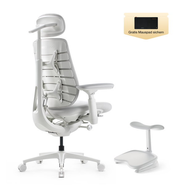LiberNovo Maxis Dynamischer Ergonomischer Stuhl
