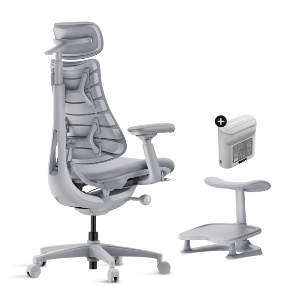 LiberNovo Omni Dynamischer ergonomischer Stuhl
