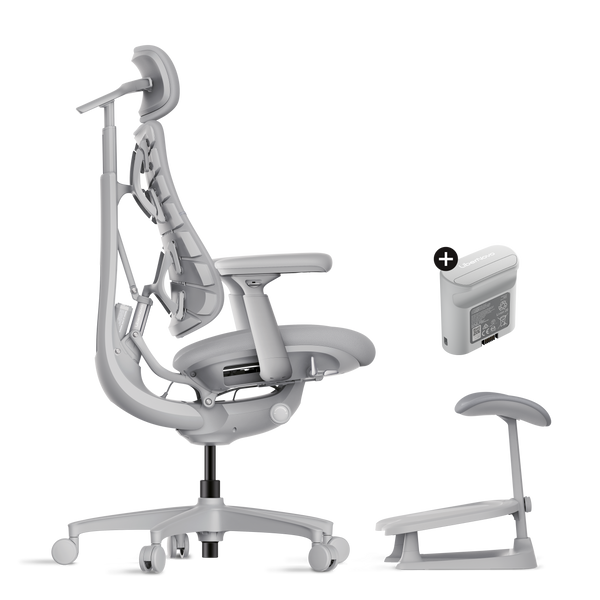 LiberNovo Omni Dynamischer ergonomischer Stuhl
